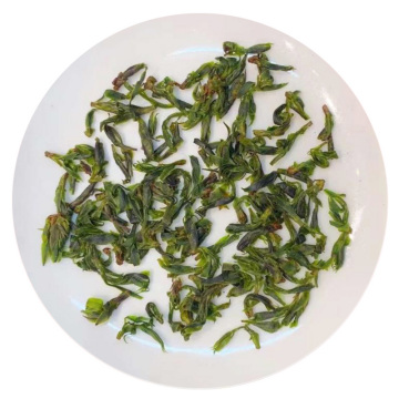 余庆苦丁茶（小叶苦丁茶）：贵州地理标志名茶，余庆苦丁茶功效、冲泡与鉴别详解