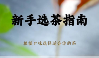 百篇选茶终极总结：普通人喝茶怎么选、怎么喝、怎么囤最全攻略
